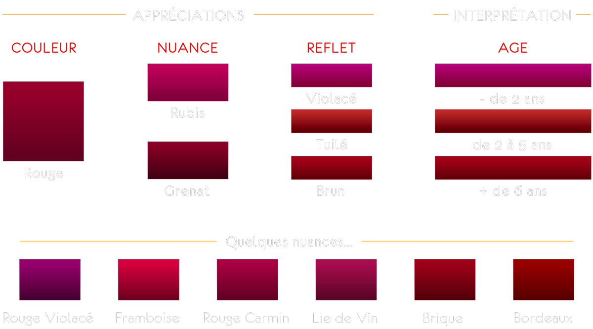 Couleurs des vins rouges