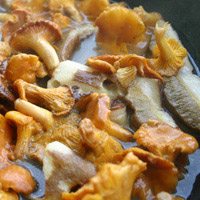 Fricassée de champignons