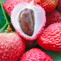 Litchi